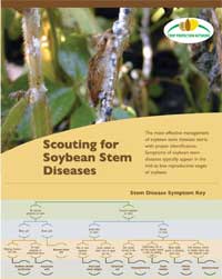 Scouting Stem Diseases