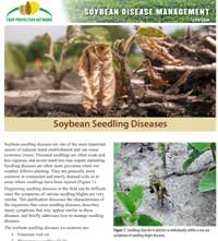 Soybean Seedling Diseases