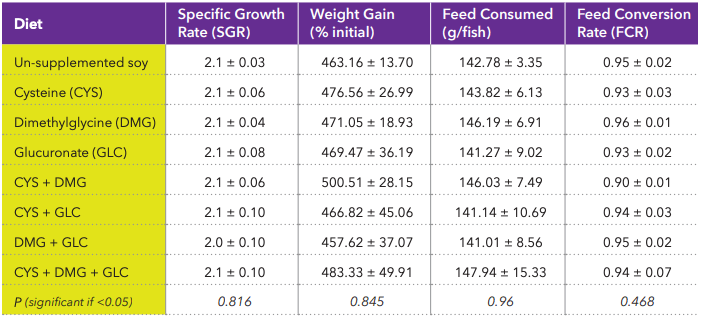 Table 1: Performance Metrics