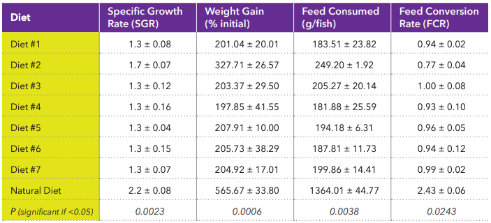 Table 1: Performance Metrics