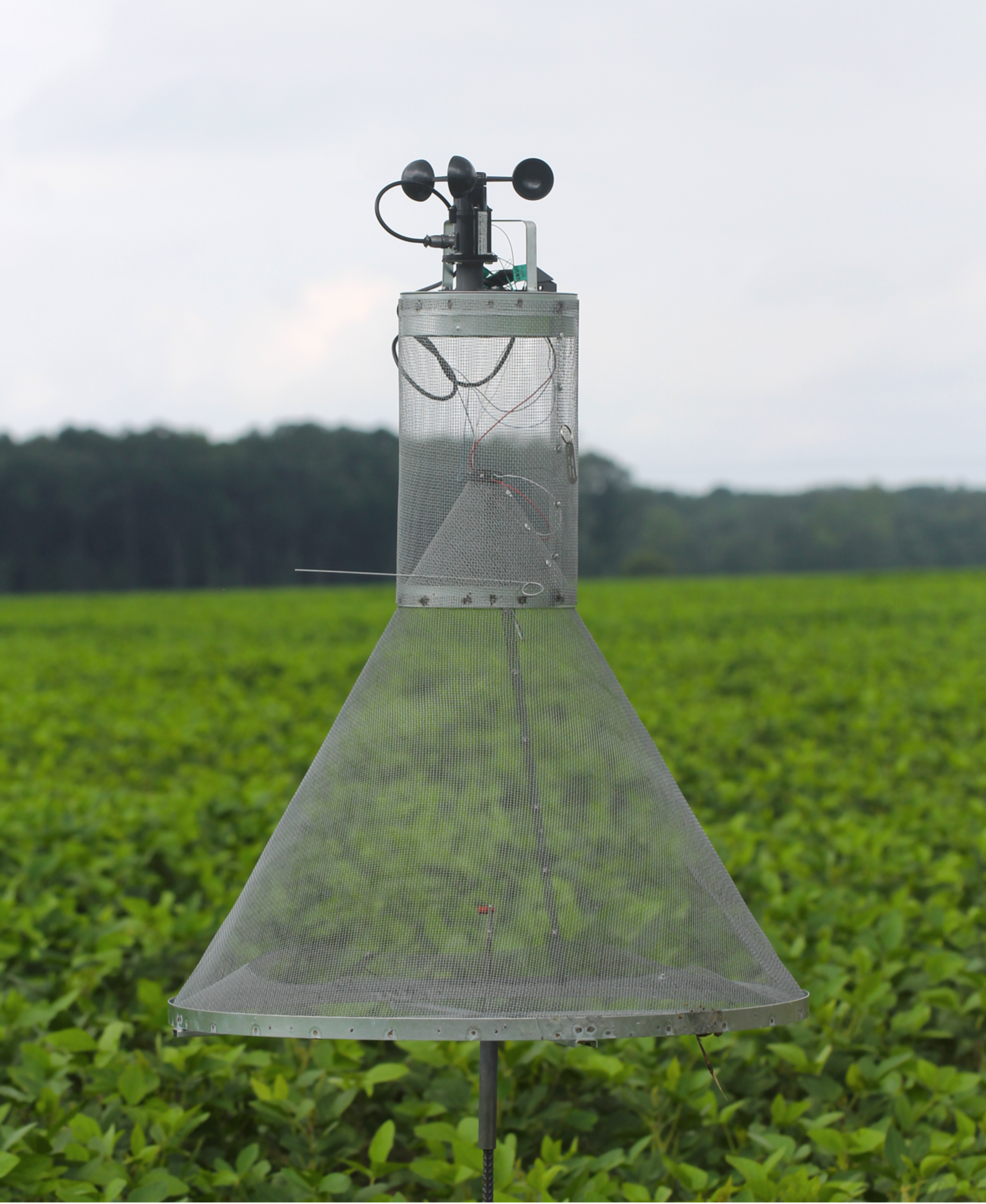 Different types of pheromone traps used in field; traps used in