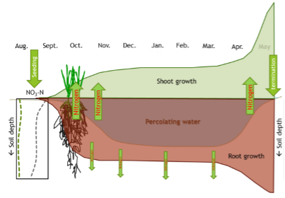 Get More From Cover Crops: Plant Green - Research Highlight - Soybean ...