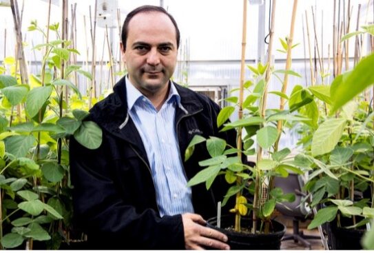Leandro Mozzoni in greenhouse