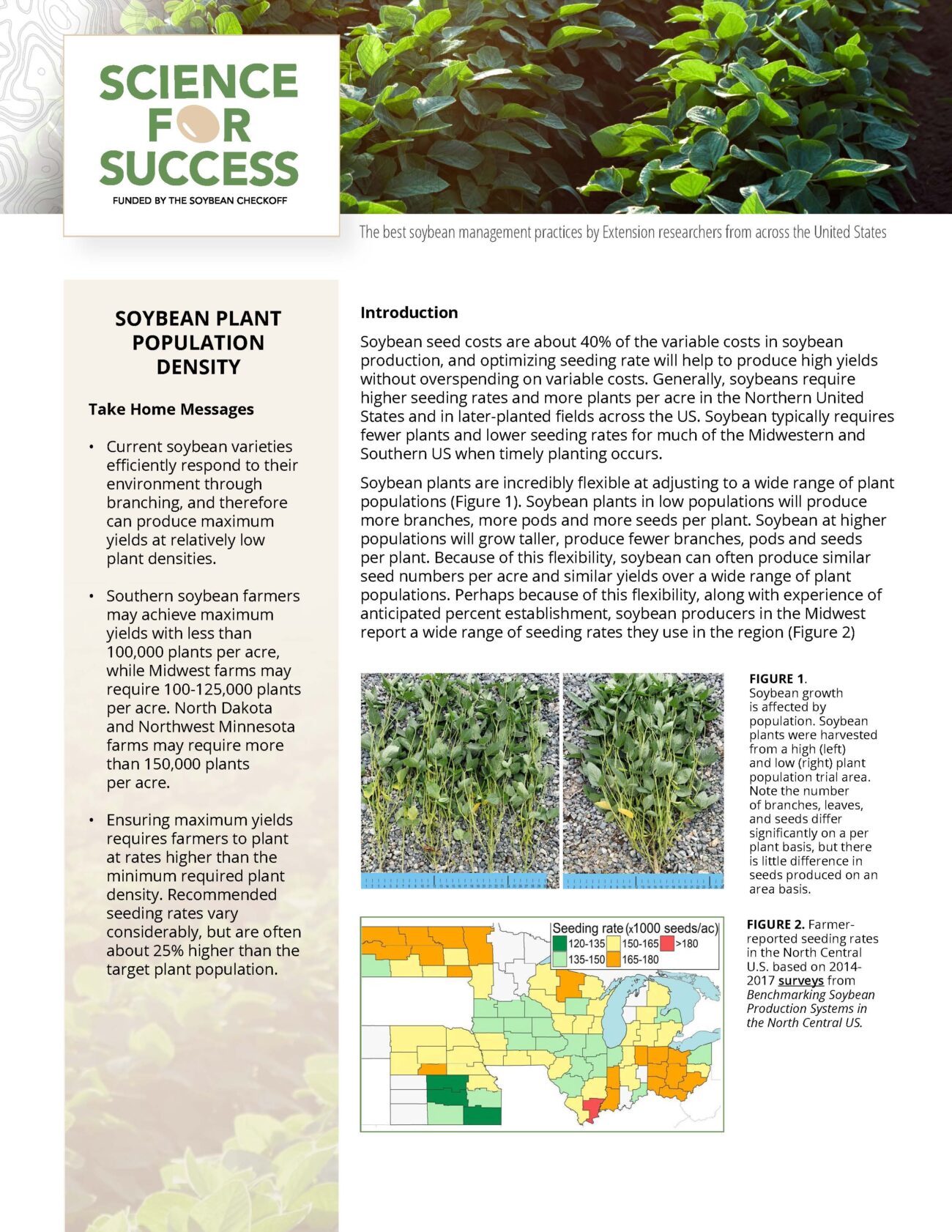 Soybean Cultural Practices - Soybean Research & Information Network - SRIN