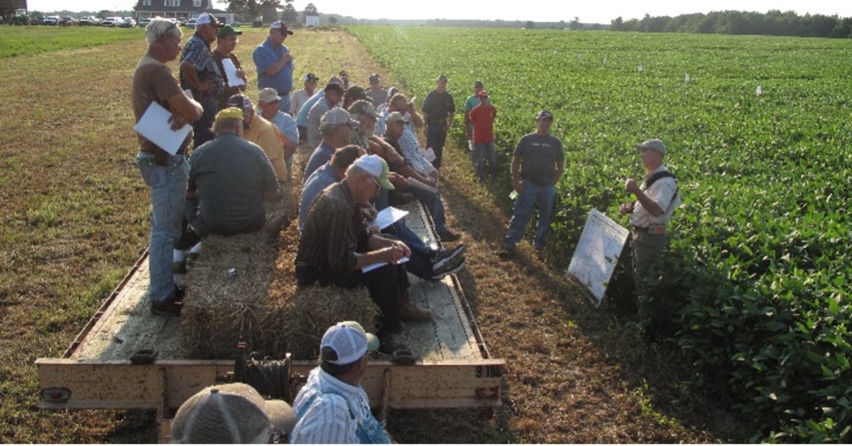 Virginia On-Farm Research Addresses Grower Questions - Research ...