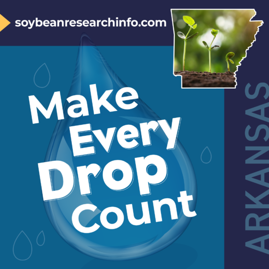 State highlight graphic for Arkansas