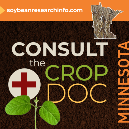 State highlight graphic for Minnesota