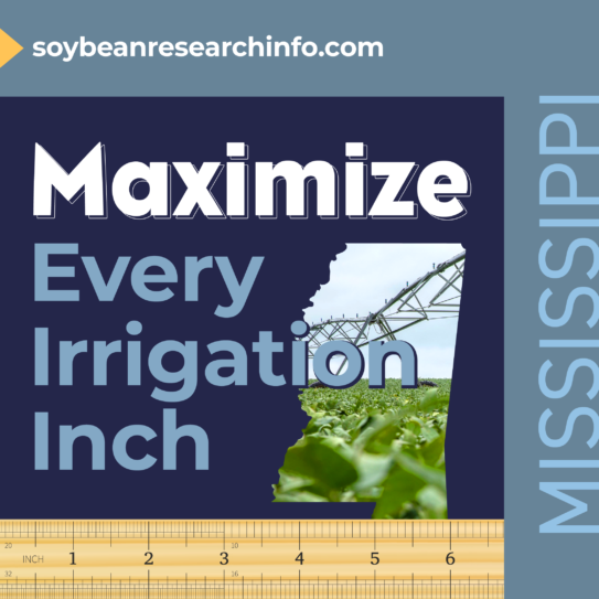 State highlight graphic for Mississippi
