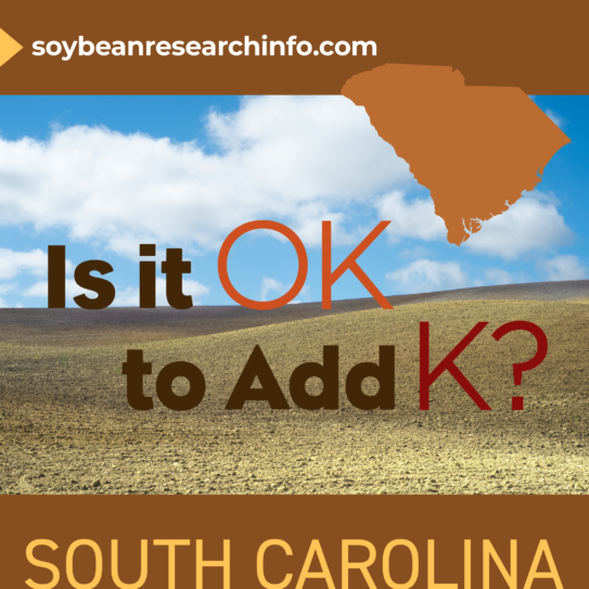 State highlight graphic for South Carolina