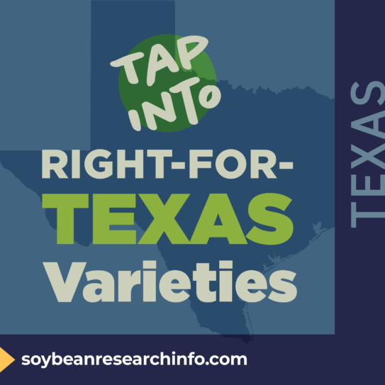 State highlight graphic for Texas