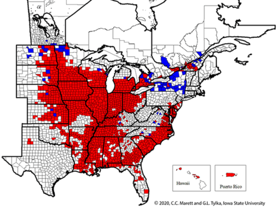 Proactive SCN Monitoring and Management - Research Highlight - Soybean ...