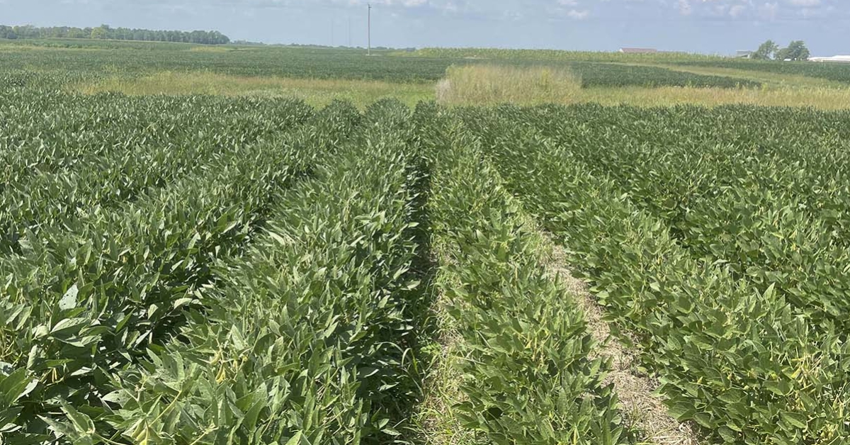 Exploring Extended Crop Rotation Benefits for Soil Health and