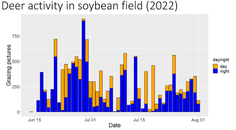 Fitting Forage Soybeans into Deer Management Strategies Research