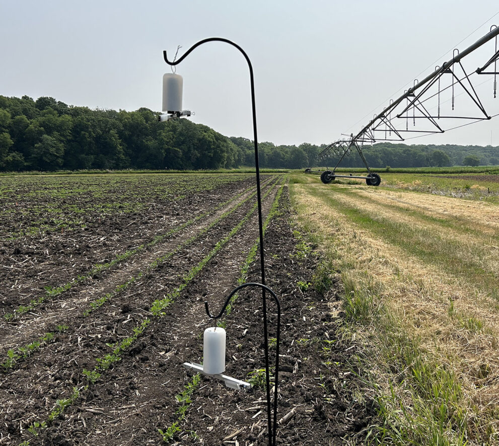 Big Problems in Little Pathogens: Researchers Look to Reduce Soybean ...