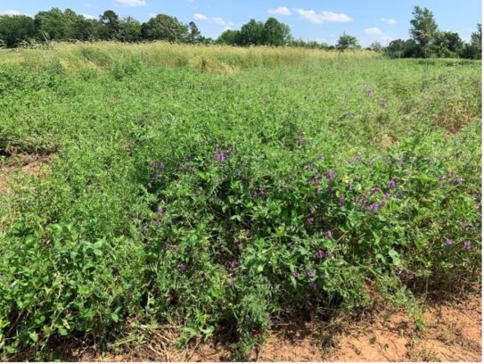 Measuring How Agronomic Systems Change Soil Health and Crop Yield ...