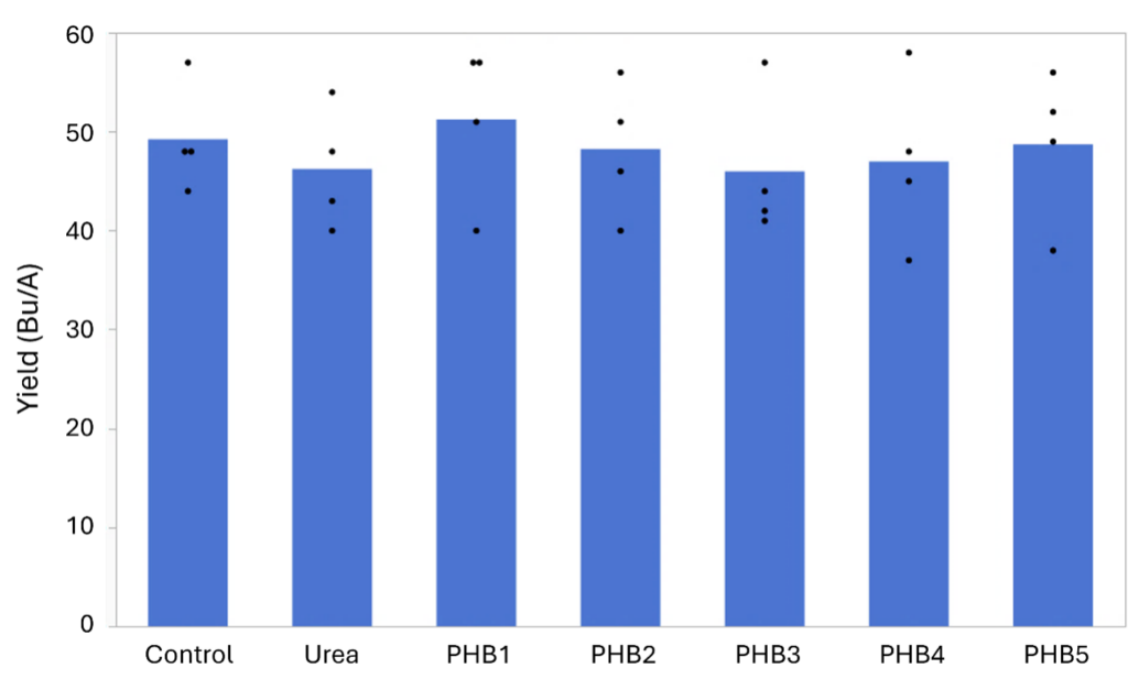 Bar chart of protein hydrolysate biostimulant treatment yields. 