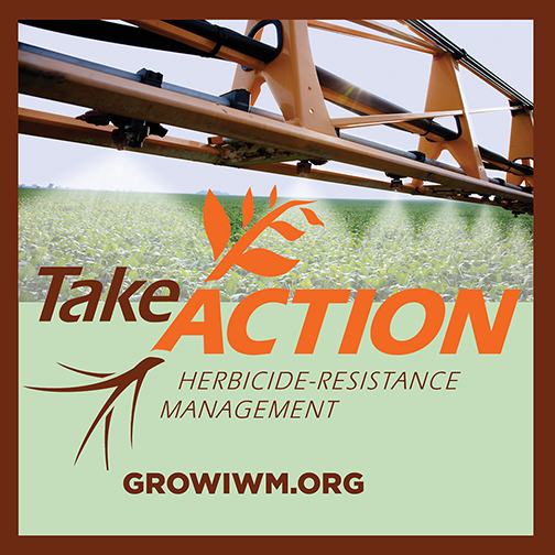 State highlight graphic for Take Action