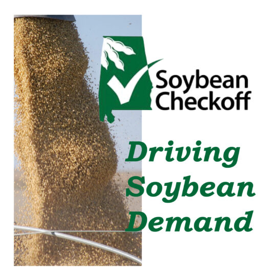 State highlight graphic for Alabama