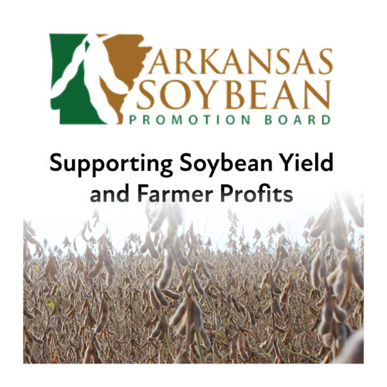 State highlight graphic for Arkansas