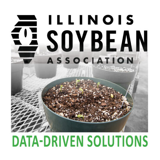 State highlight graphic for Illinois