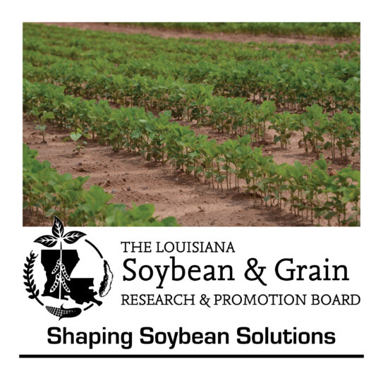 State highlight graphic for Louisiana