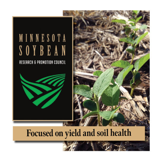 State highlight graphic for Minnesota