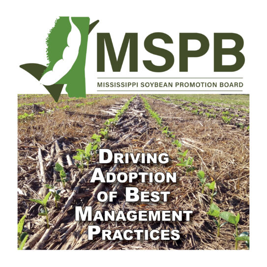 State highlight graphic for Mississippi