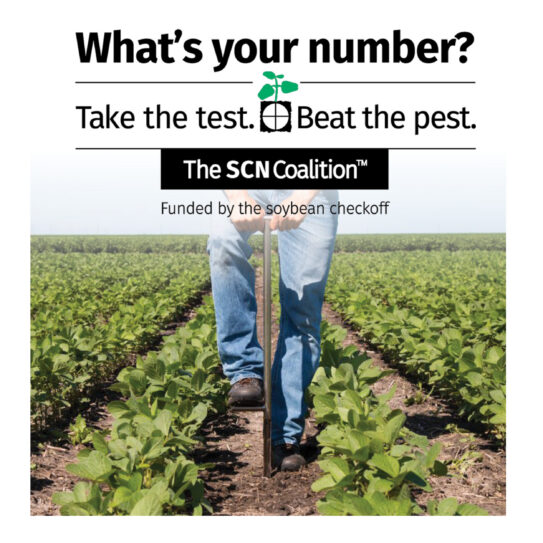 State highlight graphic for The SCN Coalition