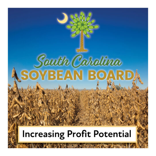 State highlight graphic for South Carolina