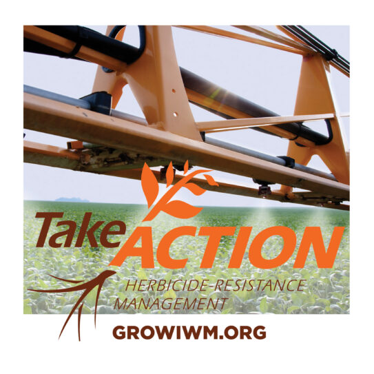 State highlight graphic for Take Action